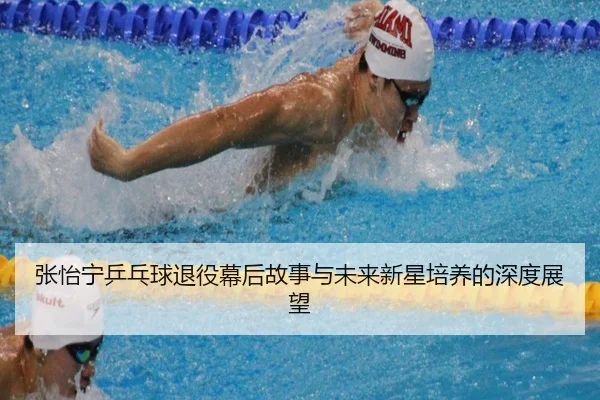 张怡宁乒乓球退役幕后故事与未来新星培养的深度展望
